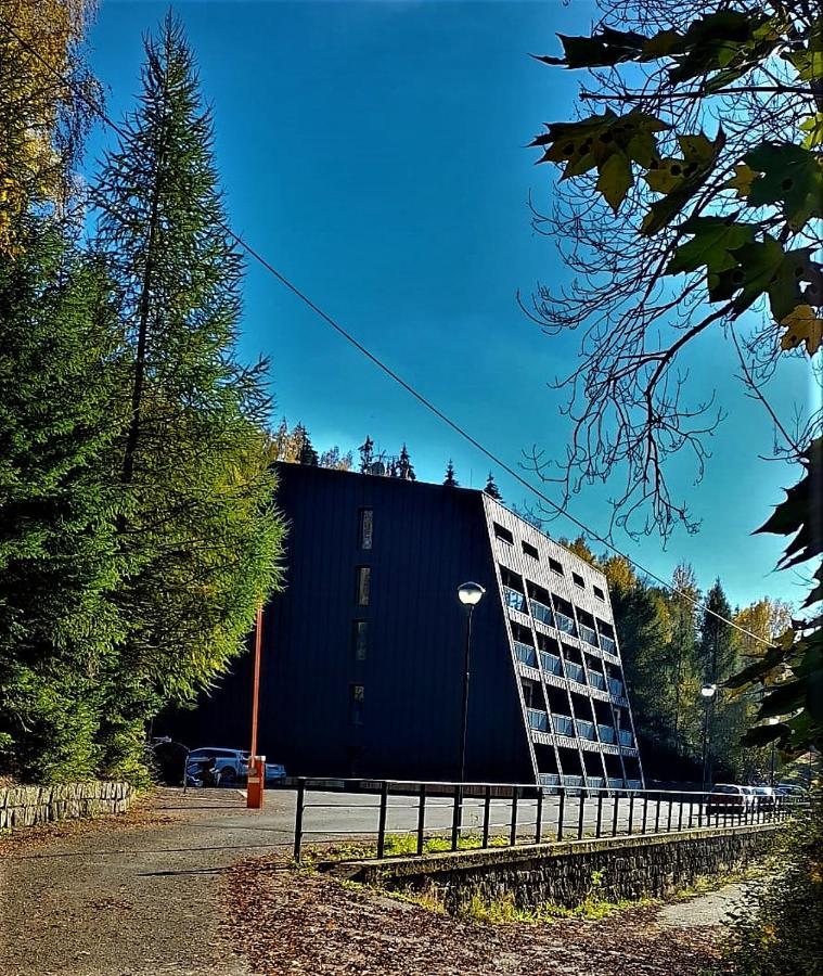 Apartman Na Kraji Lesa Janov nad Nisou Dış mekan fotoğraf
