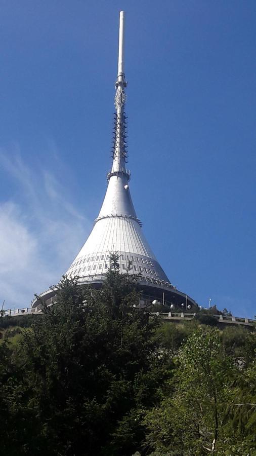 Apartman Na Kraji Lesa Janov nad Nisou Dış mekan fotoğraf