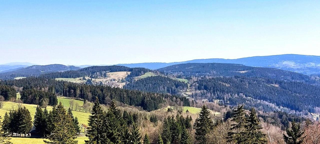 Apartman Na Kraji Lesa Janov nad Nisou Dış mekan fotoğraf