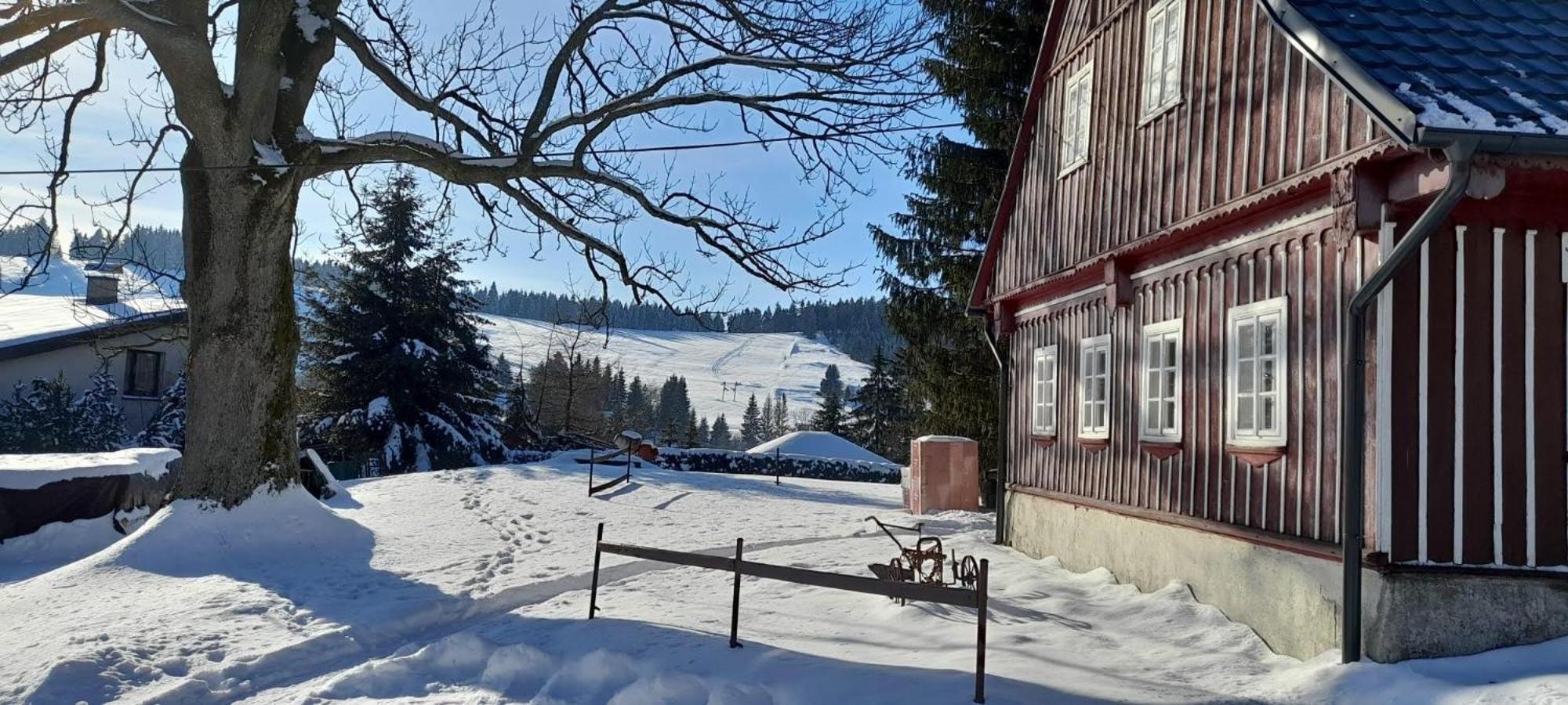 Apartman Na Kraji Lesa Janov nad Nisou Dış mekan fotoğraf