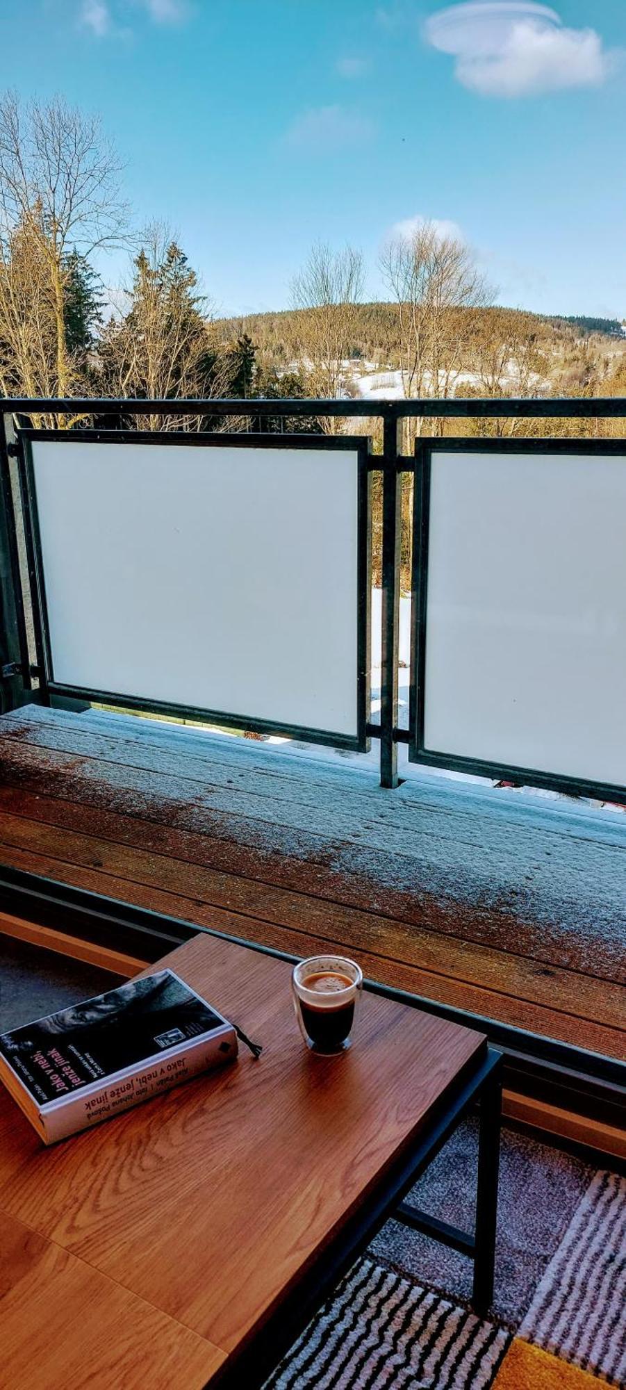 Apartman Na Kraji Lesa Janov nad Nisou Dış mekan fotoğraf