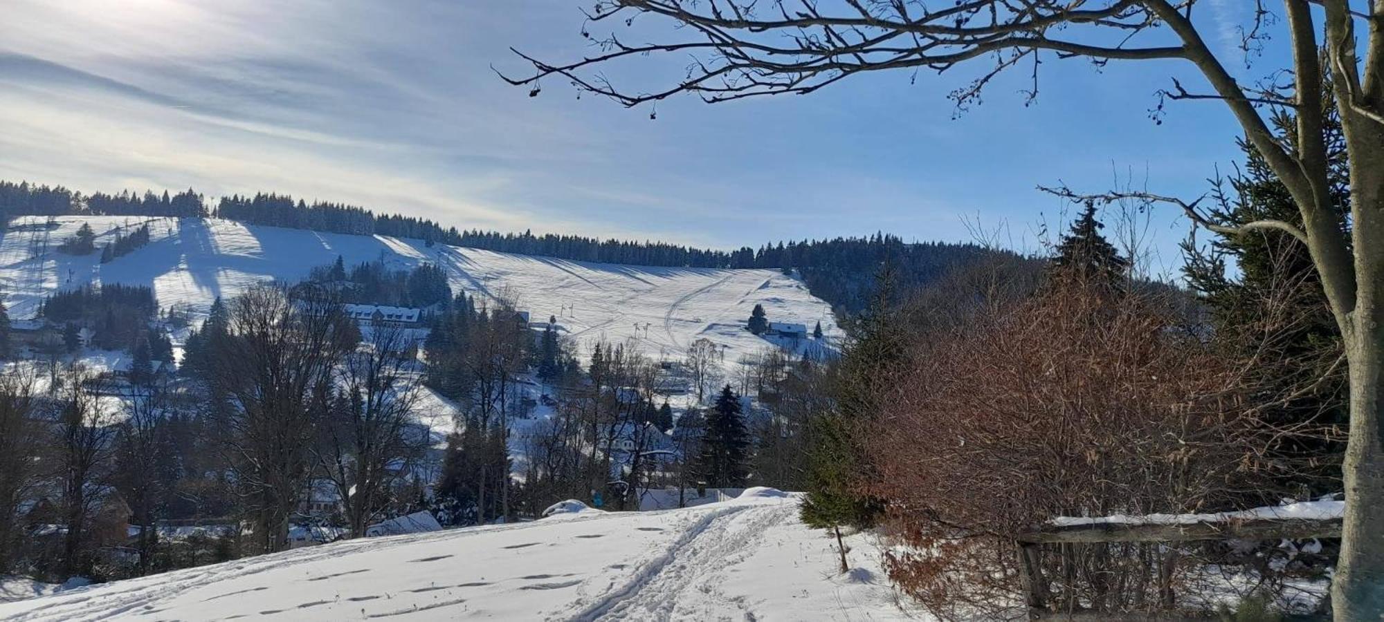 Apartman Na Kraji Lesa Janov nad Nisou Dış mekan fotoğraf