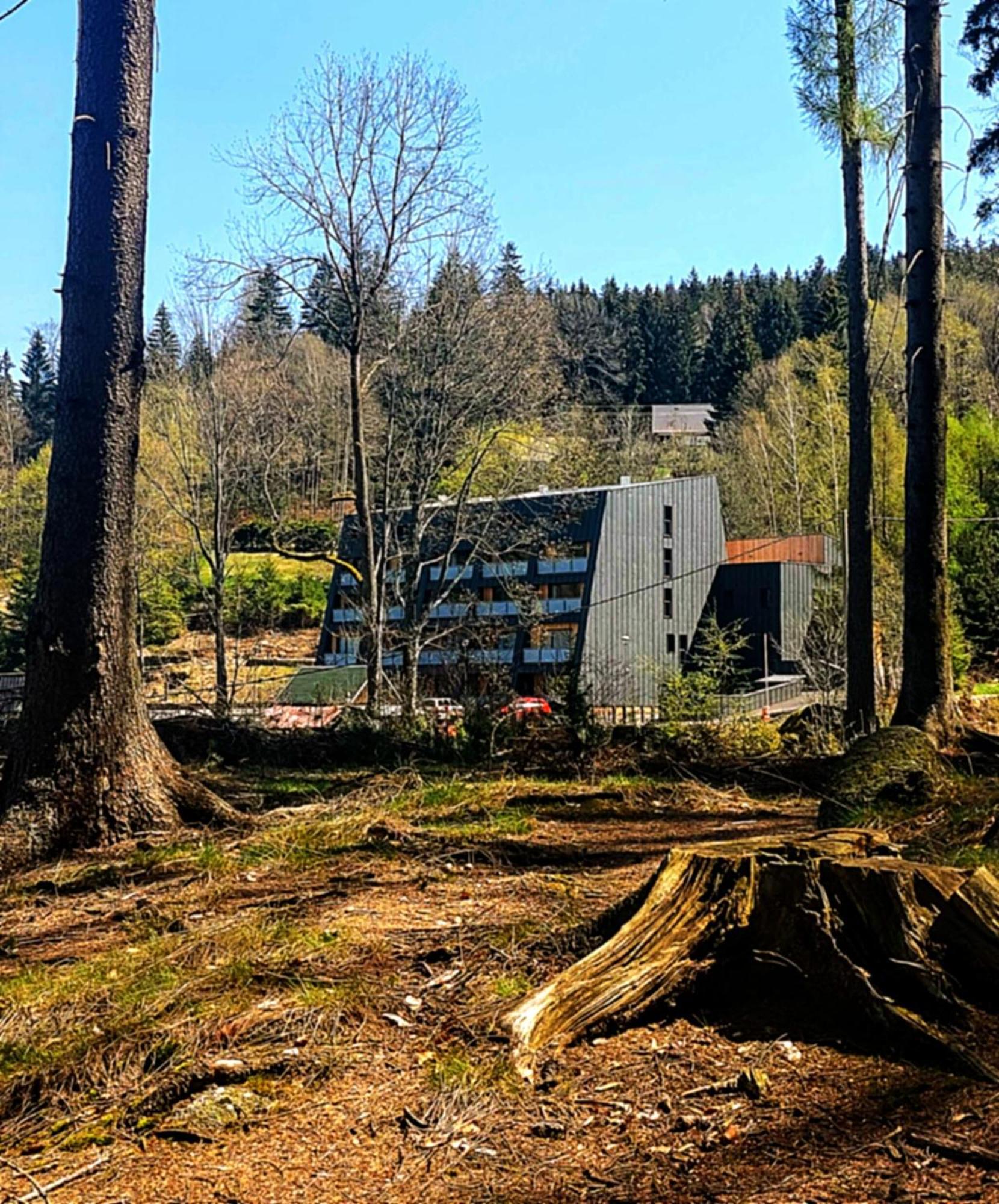 Apartman Na Kraji Lesa Janov nad Nisou Dış mekan fotoğraf