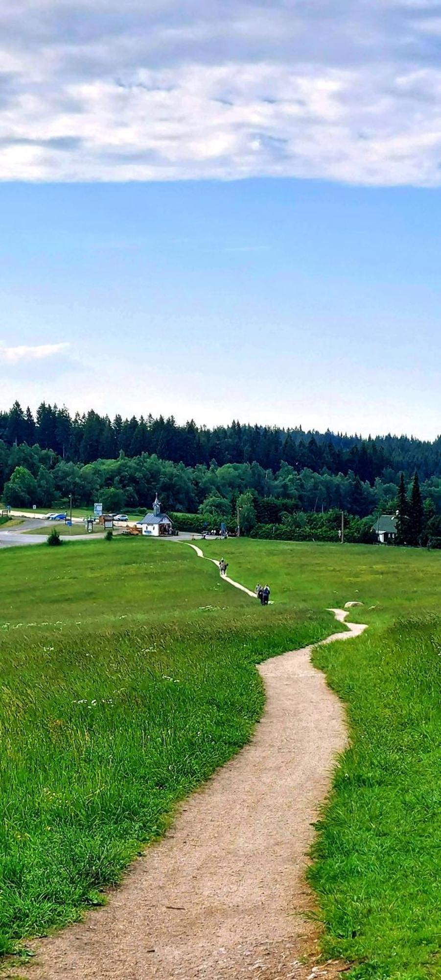 Apartman Na Kraji Lesa Janov nad Nisou Dış mekan fotoğraf