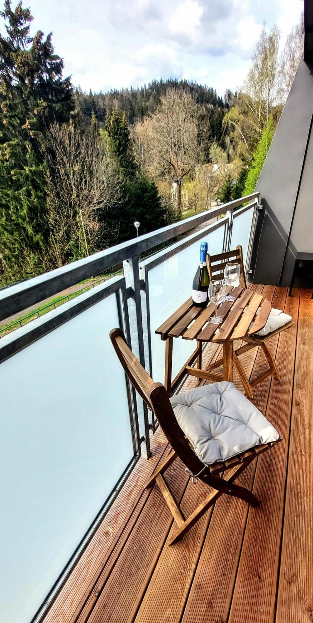 Apartman Na Kraji Lesa Janov nad Nisou Dış mekan fotoğraf