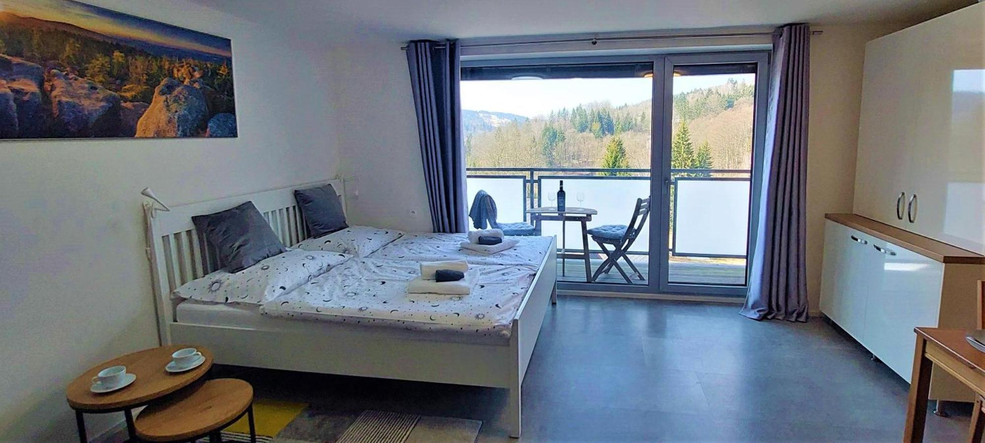 Apartman Na Kraji Lesa Janov nad Nisou Dış mekan fotoğraf